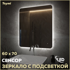 Зеркало настенное с подсветкой в ванную Pro 60 T20258 Teymi