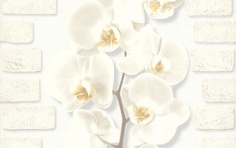 Обои АСПЕКТ арт.10107-11 вспененный винил на бумажной основе 0,53x10,05м Орхидея