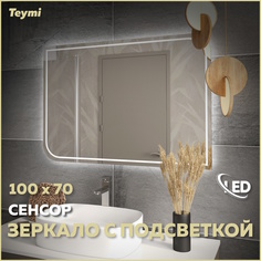 Зеркало настенное с подсветкой в ванную 100 T20266 Teymi