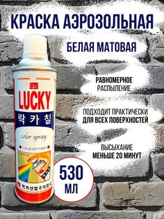 Краска аэрозольная матовая универсальная Lucky 530мл