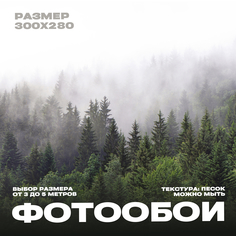 Фотообои 3d флизелиновые 300х280 Фотообойкин Лес pes-6370-3