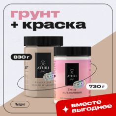 Пудровое комбо Aturi Design, Грунтовка 730 г и Краска для мебели Пудра 830 г
