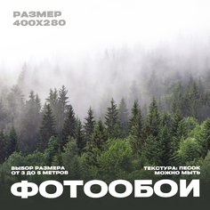 Фотообои 3d флизелиновые 400х280 Фотообойкин Лес pes-61-4