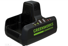 Зарядное устройство Greenworks G82C2