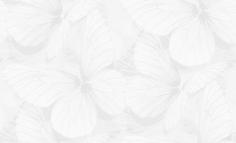 Обои GRANDECO Biokko R139101
