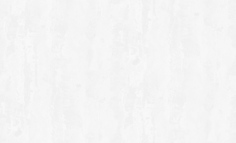 Обои флизелиновые Эрисманн Santiago 60394-01 1,06x10м