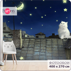 Фотообои флизелиновые 3d Bartonwall Детские Кот на крыше K033-C 400х270 см