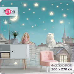 Фотообои флизелиновые 3d Bartonwall Детские Кот на крыше K03303 300х270 см