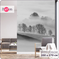 Фотообои флизелиновые 3d Bartonwall Туманный лес N15002-G 200x270 см