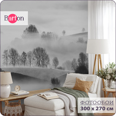 Фотообои флизелиновые 3d Bartonwall Туманный лес N15003-G 300x270 см