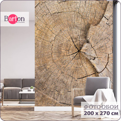 Фотообои флизелиновые 3d Bartonwall Дерево 200х270 см M06802