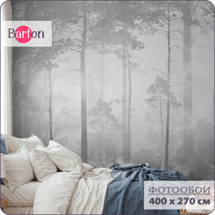 Фотообои на стену флизелиновые 3d Bartonwall Природа Туманный лес 400х270 см N12604-G