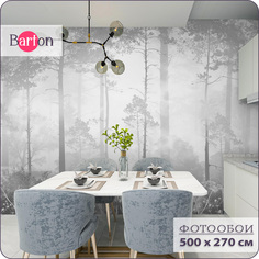 Фотообои на стену флизелиновые 3d Bartonwall Природа Туманный лес 500х270 см N12605-G