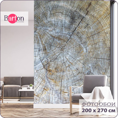 Фотообои флизелиновые 3d Bartonwall Срез дерева 200х270 см M06902