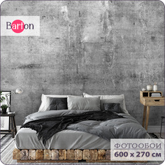 Фотообои флизелиновые 3d Bartonwall Бетон 600x270 см M20106-G