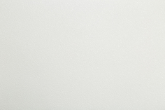 Обои виниловые на флизелине NoBrand, 1.06х10,05 м Home Color