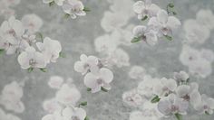 Обои на флизелиновой основе Elysium E106704 - x, 1.06 м - серый