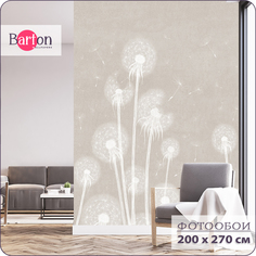 Фотообои флизелиновые 3d Bartonwall цветы Одуванчик F00902-B 200х270 см