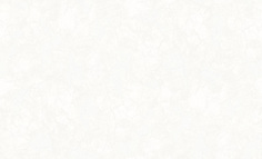 Обои винил горячего тиснения Терра белый 1,06x10м AN8874-21