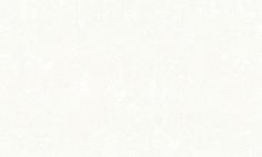 Обои под покраску Артекс 50081 Штукатурка, 1,06Х25,00