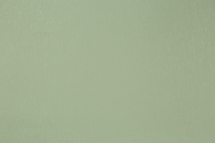 Обои флизелиновые Palitra Simple Nutela SP72029-77 1,06x10,05 м, зеленый