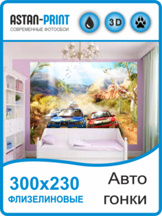 Фотообои детские Astan Гонки в Африке 300х230 флизелиновые
