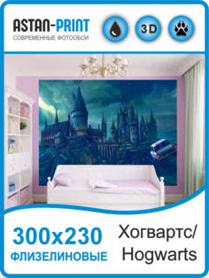 Фотообои детские Astan Гарри Поттер Хогвартс 300х230 флизелиновые