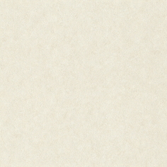 Обои RASCH Factory Style 947649 Винил на флизелине (1,06х10,05) Бежевый, Штукатурка