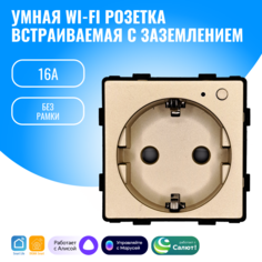 Умная WiFi розетка встраиваемая с заземлением Smart Aura модуль без рамки