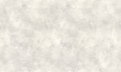 Обои виниловые на флизелине NoBrand, 1.06х10,05 м Аспект Deluxe