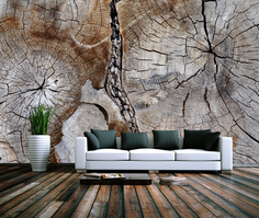 Фотообои ARTDELUXE NATURE Текстура старого дерева флизелиновые 500х300см