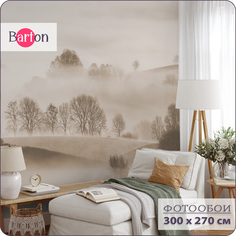 Фотообои флизелиновые 3d Bartonwall Туманный лес N15003-B 300x270 см