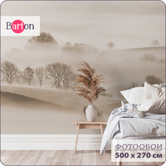 Фотообои флизелиновые 3d Bartonwall Туманный лес N15005-B 500x270 см