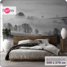 Фотообои флизелиновые 3d Bartonwall Туманный лес N15005-G 500x270 см
