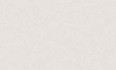 Обои виниловые на флизелине NoBrand, 1.06х10,05 м VOG Collection
