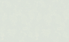 Обои Silk 60731-05 флизелиновые 1,06x10м Эрисманн