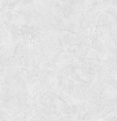 Обои Startdeco 286437 Макс флизелиновые 1_06x10м
