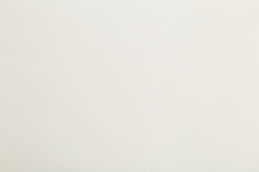 Обои виниловые на флизелине NoBrand, 1.06х10,05 м Home Color