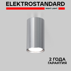 Накладной точечный потолочный светильник Elektrostandard 1081 GU10 SCH сатин хром