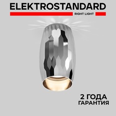 Накладной точечный потолочный светильник Elektrostandard DLN104 GU10 хром