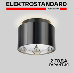 Накладной потолочный светильник Elektrostandard Charlie 1069 GX53 черный жемчуг