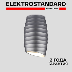 Накладной точечный потолочный светильник Elektrostandard DLN105 GU10 серебро