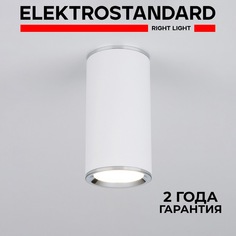 Накладной потолочный светильник Elektrostandard Rutero DLN101 WH GU10 белый