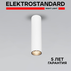 Накладной потолочный LED светильник Elektrostandard Pika 25031/LED 6W 4200К белый
