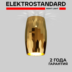 Накладной точечный потолочный светильник Elektrostandard DLN104 GU10 золото