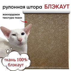 Рулонная штора Блэкаут 100 см х 175 см Фрост, коричневый Уют