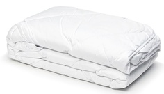 Одеяло GoodNight Organic бамбук/тик 300 гр/м2 евро (200х220)