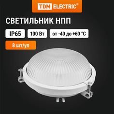 Светильник TDM {SQ0311-0006} ("Рыбий глаз") IP65