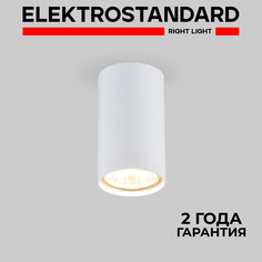 Накладной точечный потолочный светильник Elektrostandard 1081 GU10 WH белый