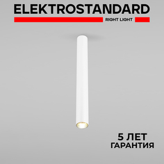 Накладной потолочный LED светильник Elektrostandard Pika 25030/LED 6W 4200К белый